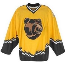 Why the an original six team would use a different logo I will never know