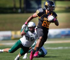 A project at tight end 